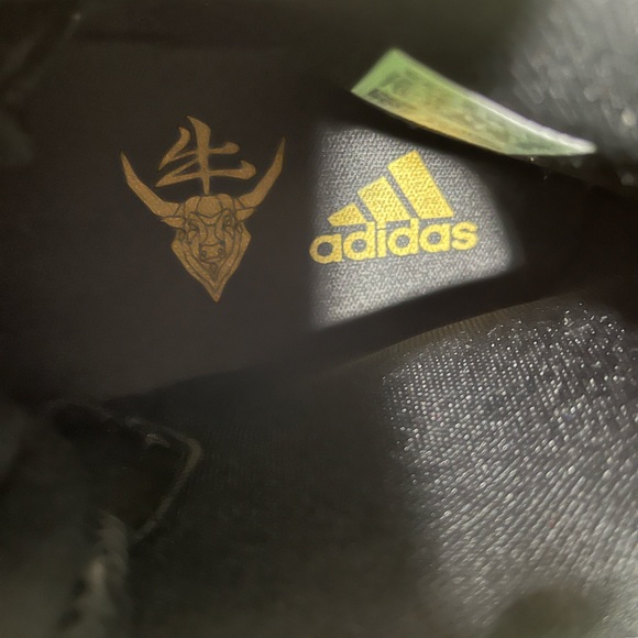 Adidas D.O.N Issue 2  \